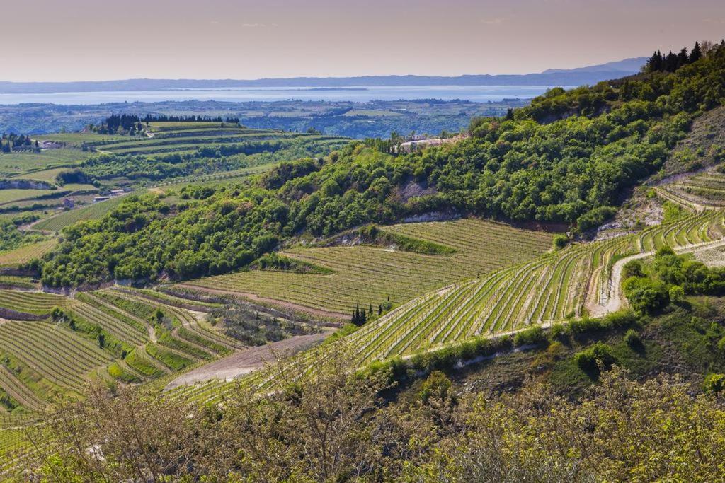 SantʼAmbrogio di Valpolicella La Grande Casa Valpolicella Bed & Breakfast エクステリア 写真